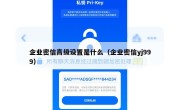 企业密信高级设置是什么（企业密信yj999）
