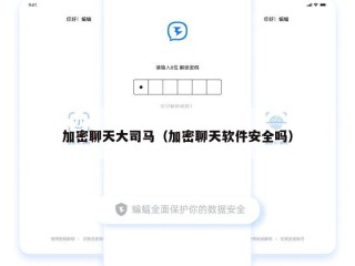 加密聊天大司马（加密聊天软件安全吗）