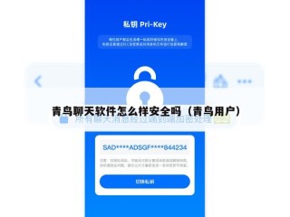 青鸟聊天软件怎么样安全吗（青鸟用户）