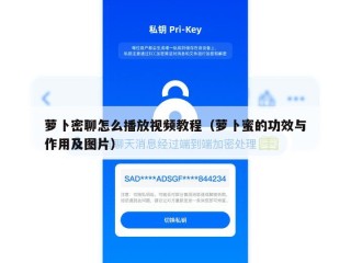 萝卜密聊怎么播放视频教程（萝卜蜜的功效与作用及图片）