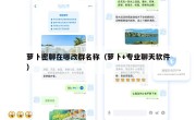 萝卜密聊在哪改群名称（萝卜+专业聊天软件）