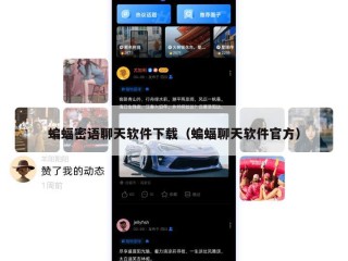 蝙蝠密语聊天软件下载（蝙蝠聊天软件官方）