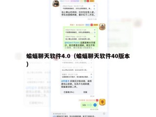 蝙蝠聊天软件4.0（蝙蝠聊天软件40版本）