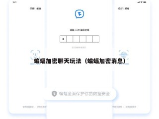 蝙蝠加密聊天玩法（蝙蝠加密消息）