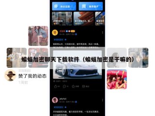 蝙蝠加密聊天下载软件（蝙蝠加密是干嘛的）
