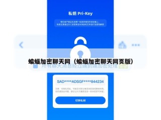 蝙蝠加密聊天网（蝙蝠加密聊天网页版）