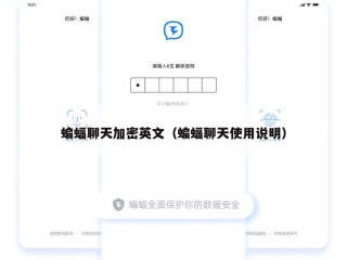 蝙蝠聊天加密英文（蝙蝠聊天使用说明）