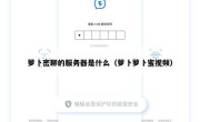 萝卜密聊的服务器是什么（萝卜萝卜蜜视频）