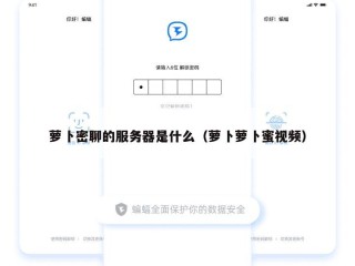 萝卜密聊的服务器是什么（萝卜萝卜蜜视频）