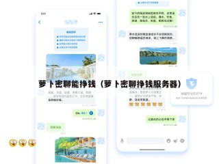 萝卜密聊能挣钱（萝卜密聊挣钱服务器）