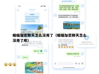蝙蝠加密聊天怎么没用了（蝙蝠加密聊天怎么没用了呢）