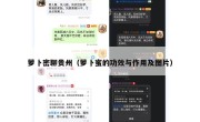 萝卜密聊贵州（萝卜蜜的功效与作用及图片）