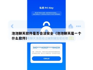 泡泡聊天软件是否合法安全（泡泡聊天是一个什么软件）