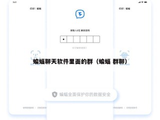 蝙蝠聊天软件里面的群（蝙蝠 群聊）