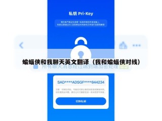 蝙蝠侠和我聊天英文翻译（我和蝙蝠侠对线）