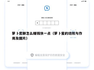 萝卜密聊怎么赚钱快一点（萝卜蜜的功效与作用及图片）