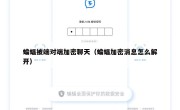 蝙蝠被端对端加密聊天（蝙蝠加密消息怎么解开）