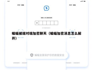 蝙蝠被端对端加密聊天（蝙蝠加密消息怎么解开）