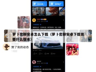 萝卜密聊安卓怎么下载（萝卜密聊安卓下载需要什么版本）