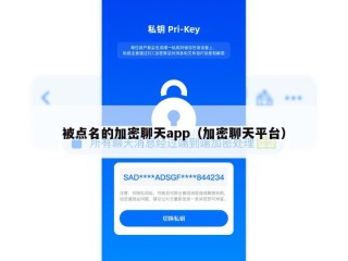 被点名的加密聊天app（加密聊天平台）