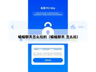 蝙蝠聊天怎么玩的（蝙蝠聊天 怎么玩）