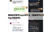 蝙蝠加密聊天oppo叫什么（蝙蝠聊天软件怎么找回密码）