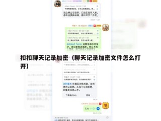 扣扣聊天记录加密（聊天记录加密文件怎么打开）