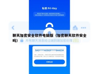 聊天加密安全软件电脑版（加密聊天软件安全吗）