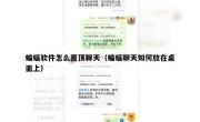 蝙蝠软件怎么置顶聊天（蝙蝠聊天如何放在桌面上）