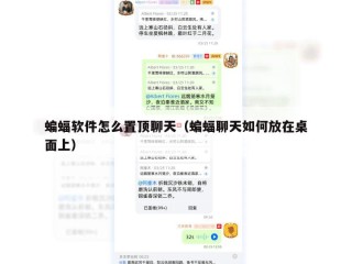 蝙蝠软件怎么置顶聊天（蝙蝠聊天如何放在桌面上）