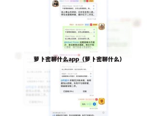 萝卜密聊什么app（萝卜密聊什么）