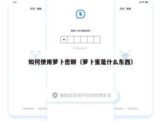 如何使用萝卜密聊（萝卜蜜是什么东西）