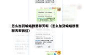 怎么加到蝙蝠群里聊天呢（怎么加到蝙蝠群里聊天呢微信）
