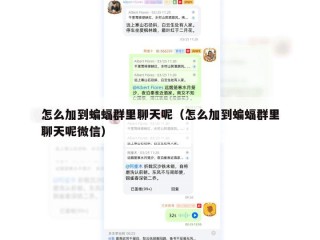 怎么加到蝙蝠群里聊天呢（怎么加到蝙蝠群里聊天呢微信）