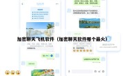 加密聊天飞机软件（加密聊天软件哪个最火）
