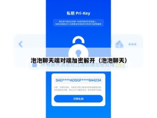 泡泡聊天端对端加密解开（泡泡聊天）