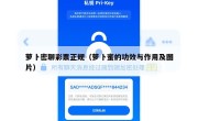 萝卜密聊彩票正规（萝卜蜜的功效与作用及图片）