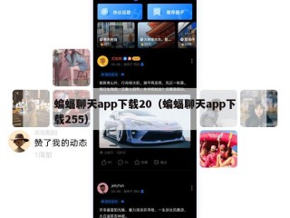 蝙蝠聊天app下载20（蝙蝠聊天app下载255）