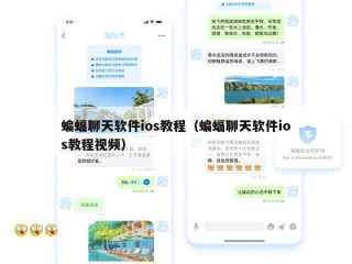蝙蝠聊天软件ios教程（蝙蝠聊天软件ios教程视频）