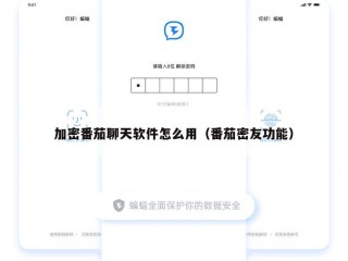 加密番茄聊天软件怎么用（番茄密友功能）