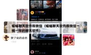 蝙蝠聊天软件和微信（蝙蝠聊天软件和微信一模一样的聊天软件）