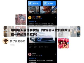 蝙蝠聊天软件和微信（蝙蝠聊天软件和微信一模一样的聊天软件）