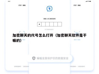 加密聊天的代号怎么打开（加密聊天软件是干嘛的）