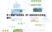 萝卜密聊广东有没有（萝卜蜜的功效与作用及图片）