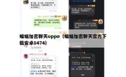 蝙蝠加密聊天oppo（蝙蝠加密聊天官方下载安卓8474）