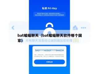bat蝙蝠聊天（bat蝙蝠聊天软件哪个国家）