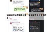 蝙蝠如何加密聊天记录（蝙蝠聊天怎么设置隐身）
