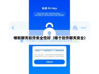 哪款聊天软件安全性好（哪个软件聊天安全）