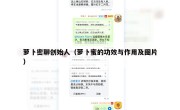 萝卜密聊创始人（萝卜蜜的功效与作用及图片）