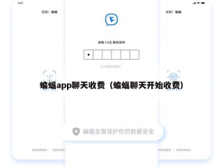 蝙蝠app聊天收费（蝙蝠聊天开始收费）